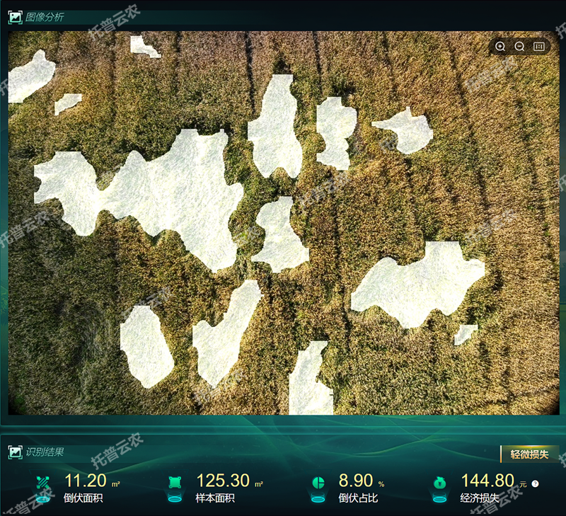 【原圖】低空遙感植物表型分析系統1.png