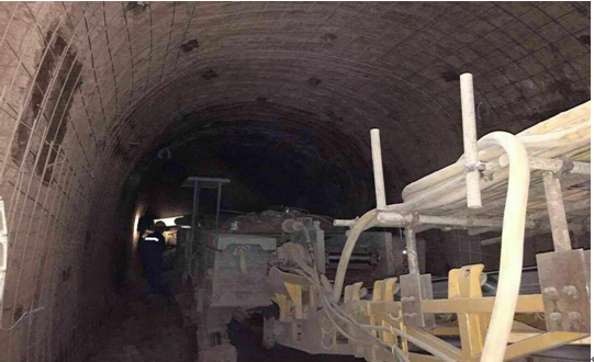 真功夫！物美價(jià)廉的“穿山甲”